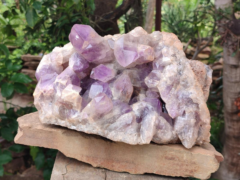 Natural XL Jacaranda Amethyst Crystal Cluster x 1 From Mumbwa, Zambia