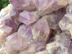 Natural XL Jacaranda Amethyst Crystal Cluster x 1 From Mumbwa, Zambia