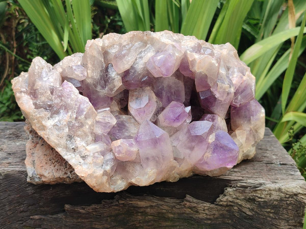 Natural XL Jacaranda Amethyst Crystal Cluster x 1 From Mumbwa, Zambia