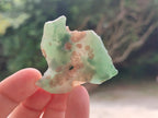 Polished One Side Mtorolite Chrysoprase Slices x 37 From Mutorashanga, Zimbabwe - Toprock Gemstones and Minerals 