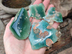 Polished One Side Mtorolite Chrysoprase Slices x 37 From Mutorashanga, Zimbabwe - Toprock Gemstones and Minerals 