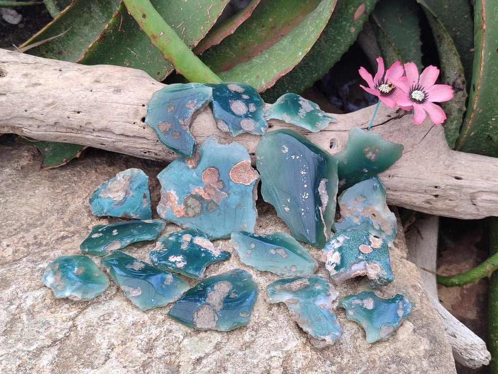 Polished One Side Mtorolite Chrysoprase Slices x 37 From Mutorashanga, Zimbabwe - Toprock Gemstones and Minerals 