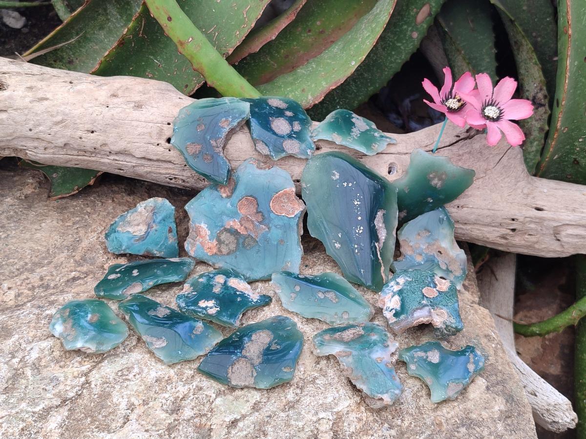 Polished One Side Mtorolite Chrysoprase Slices x 37 From Mutorashanga, Zimbabwe - Toprock Gemstones and Minerals 
