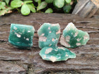 Polished One Side Mtorolite Chrysoprase Slices x 37 From Mutorashanga, Zimbabwe - Toprock Gemstones and Minerals 