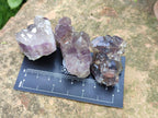 Natural Rare Amethyst Asylum Quartz Clusters x 35 From Luena, Congo