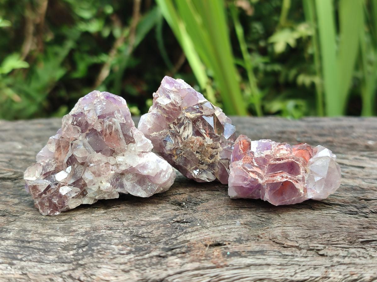 Natural Rare Amethyst Asylum Quartz Clusters x 35 From Luena, Congo