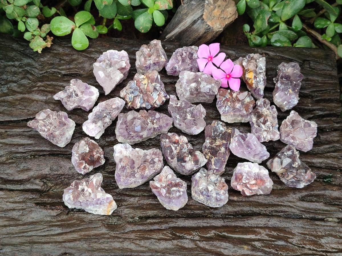 Natural Rare Amethyst Asylum Quartz Clusters x 35 From Luena, Congo