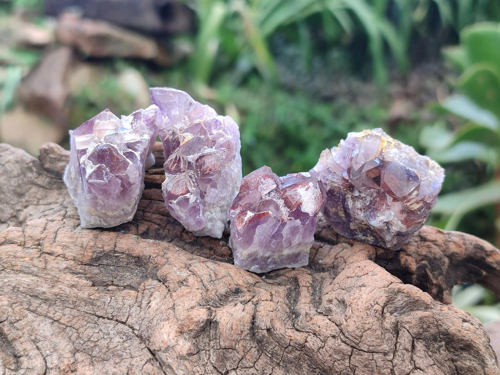 Natural Rare Amethyst Asylum Quartz Clusters x 35 From Luena, Congo