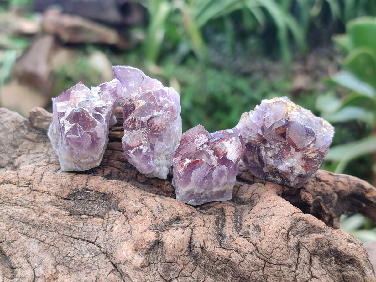 Natural Rare Amethyst Asylum Quartz Clusters x 35 From Luena, Congo