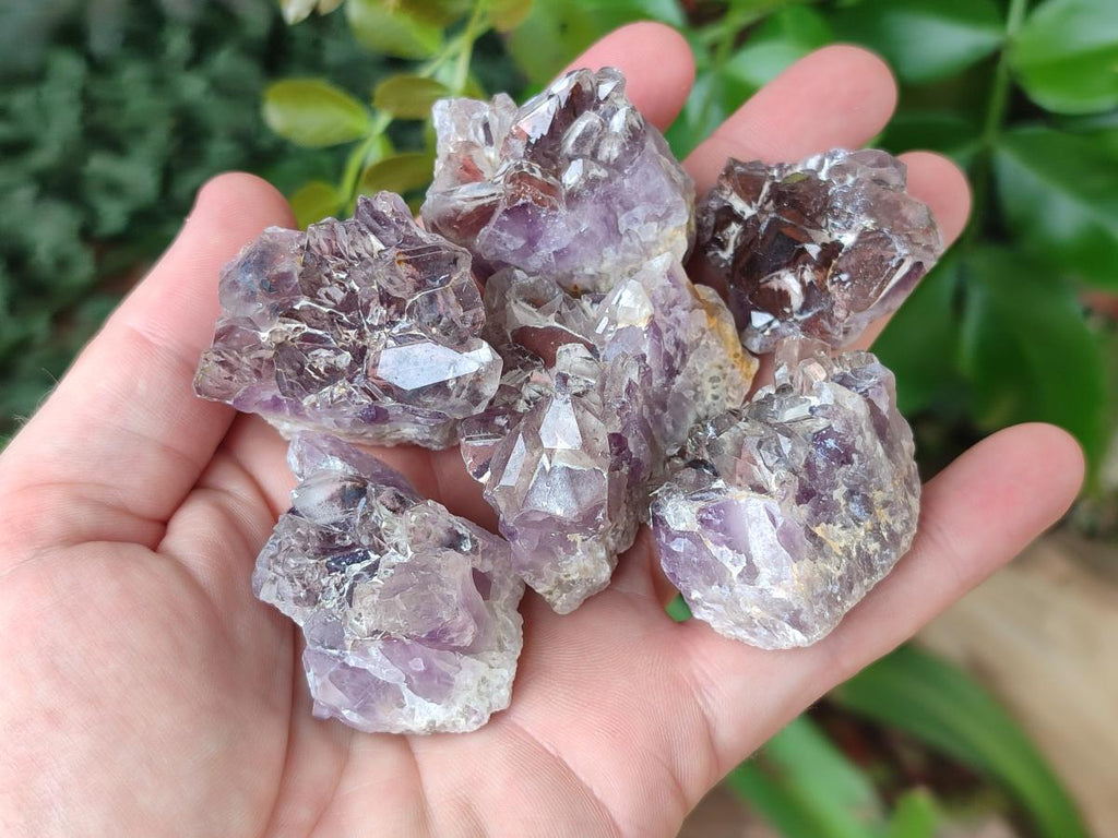 Natural Rare Amethyst Asylum Quartz Clusters x 35 From Luena, Congo