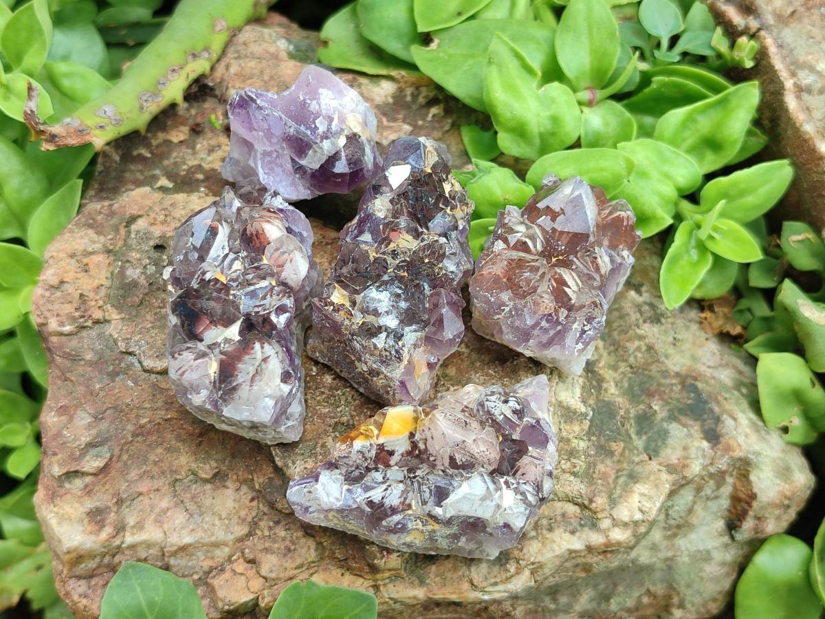 Natural Rare Amethyst Asylum Quartz Clusters x 35 From Luena, Congo