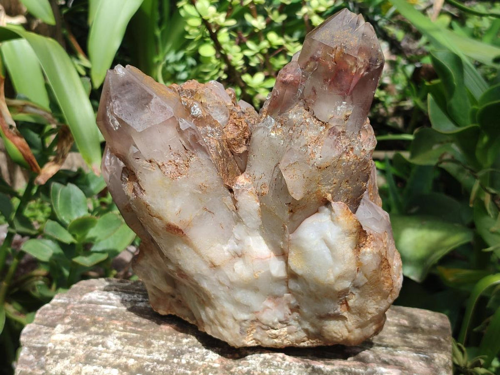 Natural Large Red Hematoid Quartz Cluster x 1 From Karoi, Zimbabwe
