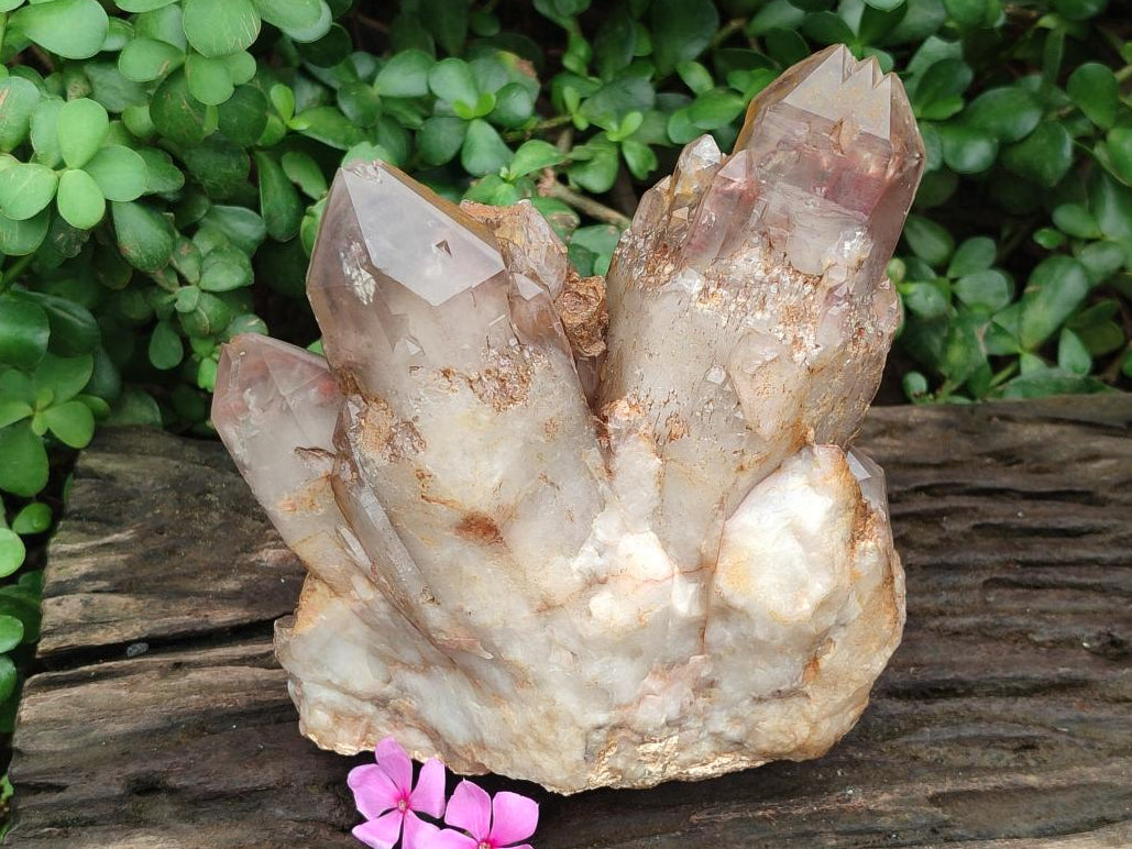 Natural Large Red Hematoid Quartz Cluster x 1 From Karoi, Zimbabwe