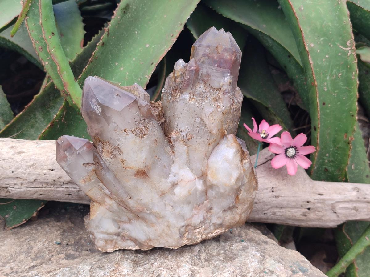 Natural Large Red Hematoid Quartz Cluster x 1 From Karoi, Zimbabwe