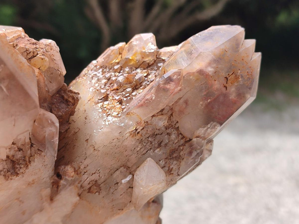 Natural Large Red Hematoid Quartz Cluster x 1 From Karoi, Zimbabwe