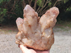 Natural Large Red Hematoid Quartz Cluster x 1 From Karoi, Zimbabwe