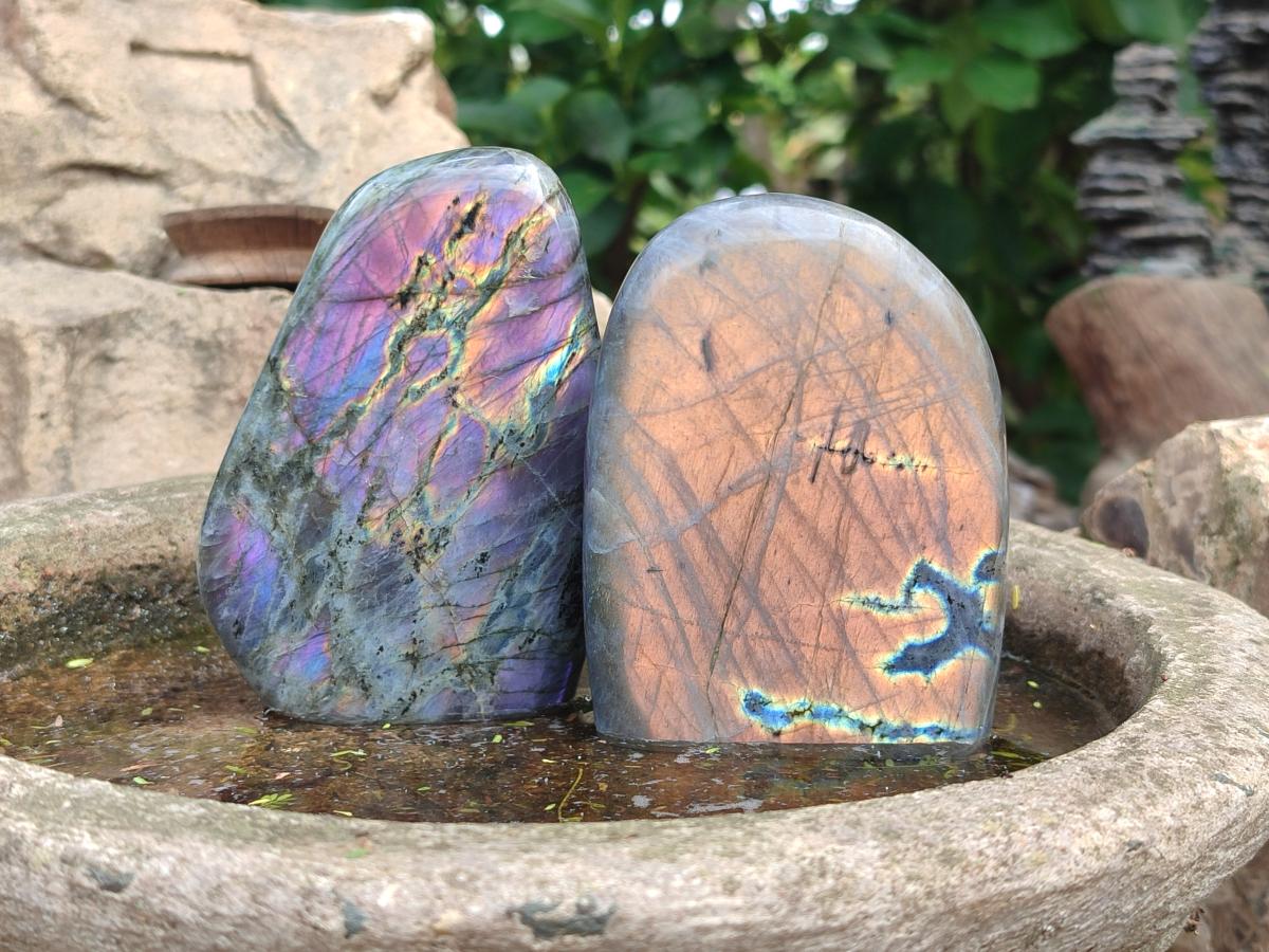 Polished Rare Purple Sunset Flash Labradorite Standing Free Forms x 2 From Madagascar