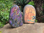 Polished Rare Purple Sunset Flash Labradorite Standing Free Forms x 2 From Madagascar