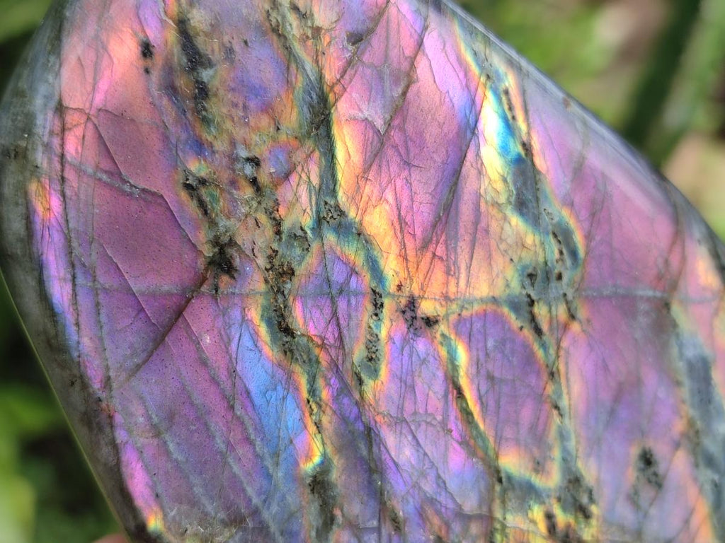 Polished Rare Purple Sunset Flash Labradorite Standing Free Forms x 2 From Madagascar