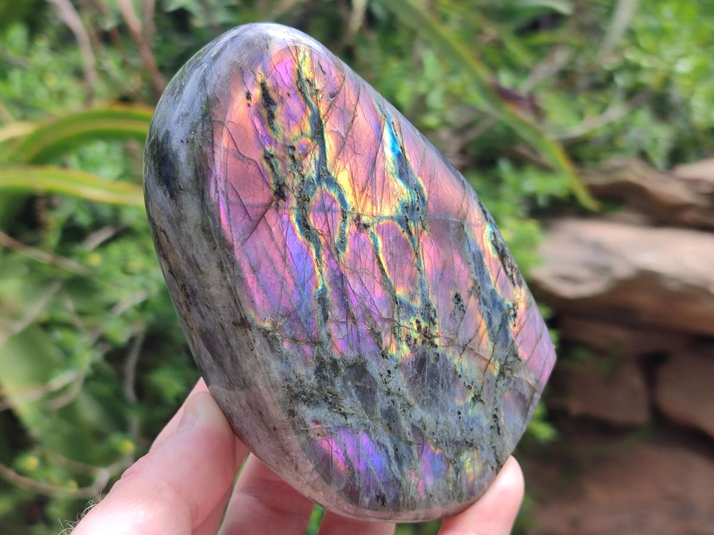 Polished Rare Purple Sunset Flash Labradorite Standing Free Forms x 2 From Madagascar