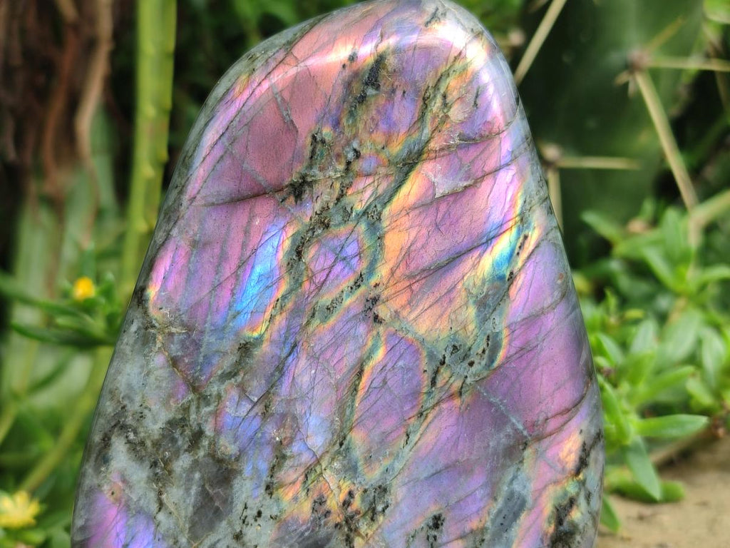 Polished Rare Purple Sunset Flash Labradorite Standing Free Forms x 2 From Madagascar