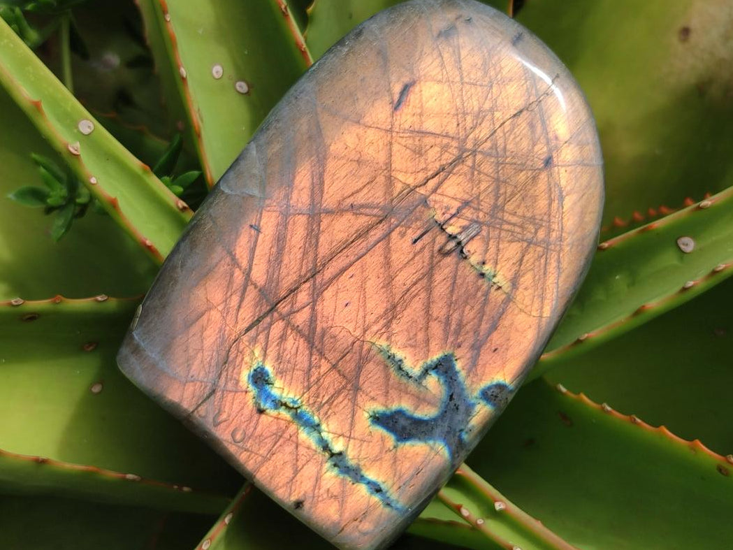 Polished Rare Purple Sunset Flash Labradorite Standing Free Forms x 2 From Madagascar