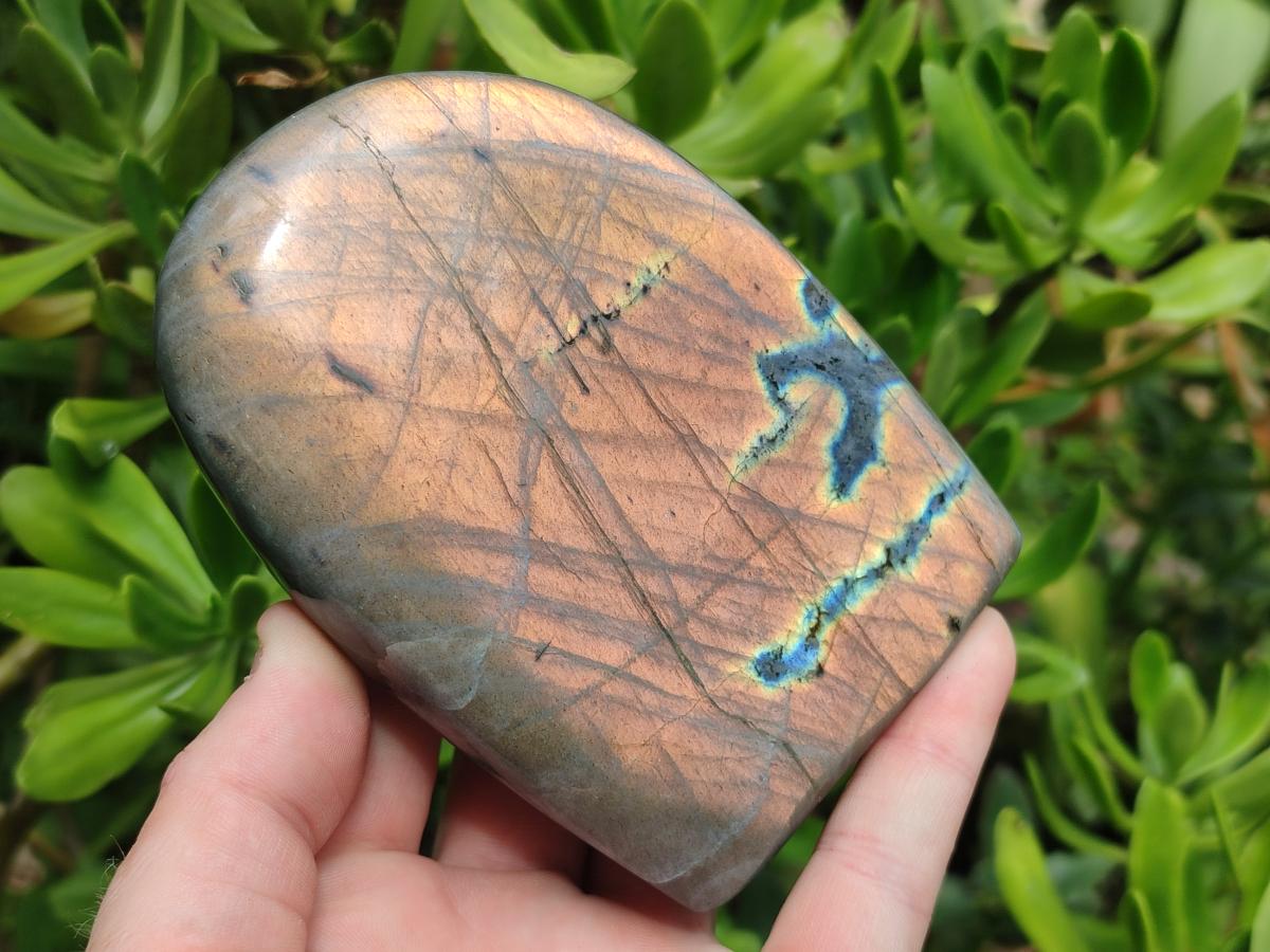 Polished Rare Purple Sunset Flash Labradorite Standing Free Forms x 2 From Madagascar