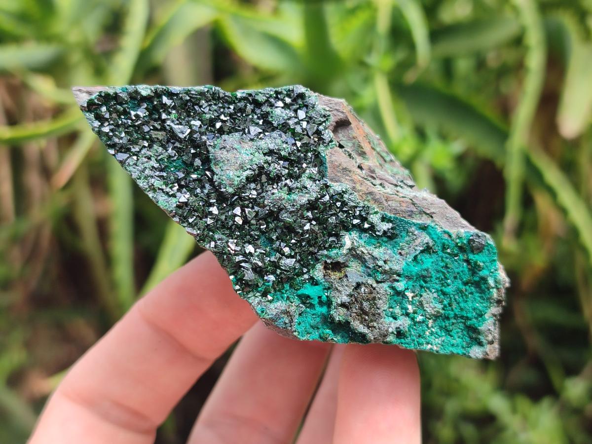 Natural Libethenite Crystals on Dolomite Matrix Specimens x 6 From Shituru, Congo