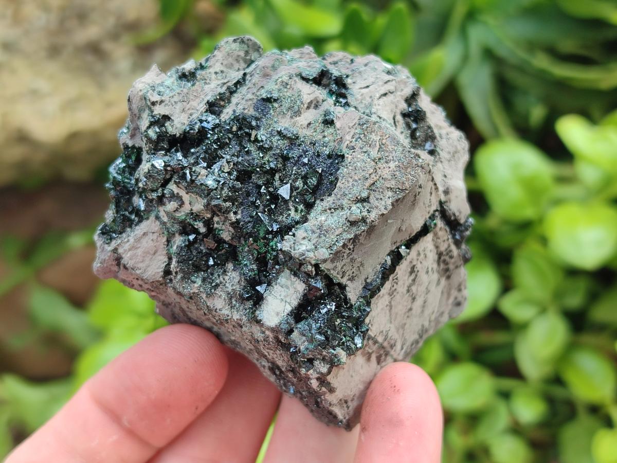 Natural Libethenite Crystals on Dolomite Matrix Specimens x 6 From Shituru, Congo