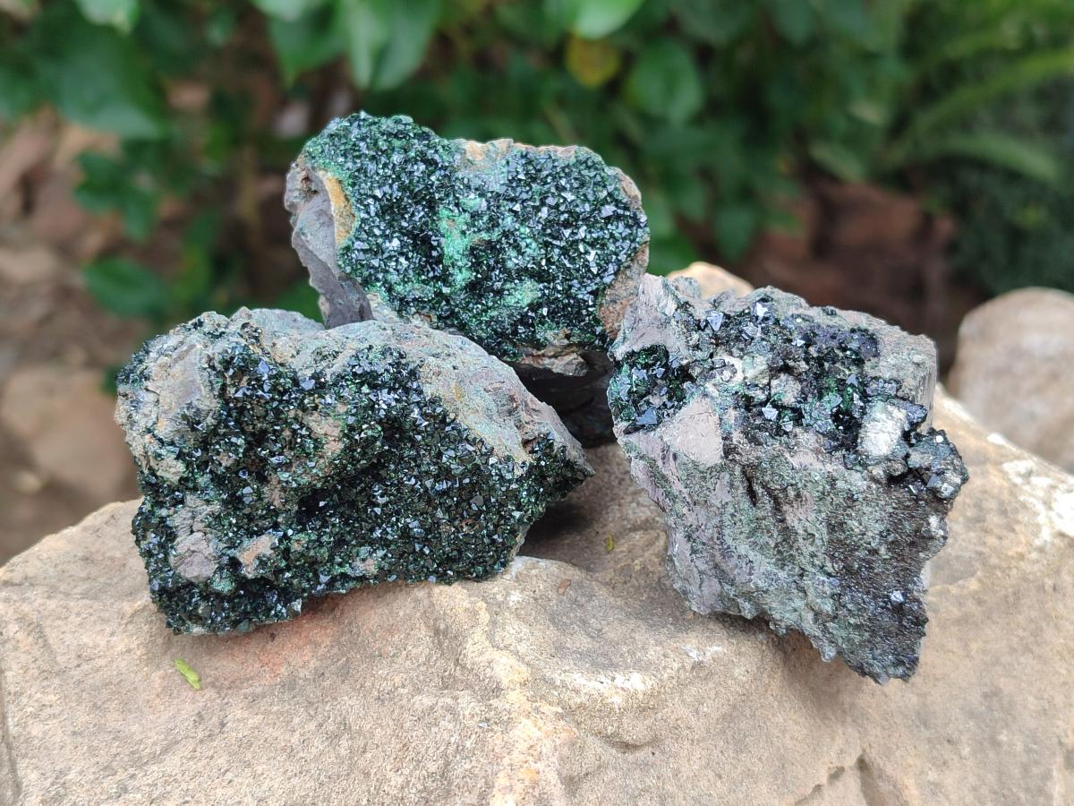 Natural Libethenite Crystals on Dolomite Matrix Specimens x 6 From Shituru, Congo