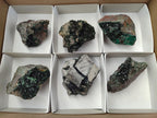 Natural Libethenite Crystals on Dolomite Matrix Specimens x 6 From Shituru, Congo