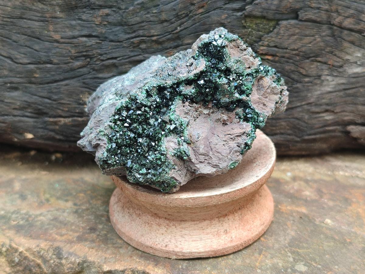 Natural Libethenite Crystals on Dolomite Matrix Specimens x 6 From Shituru, Congo