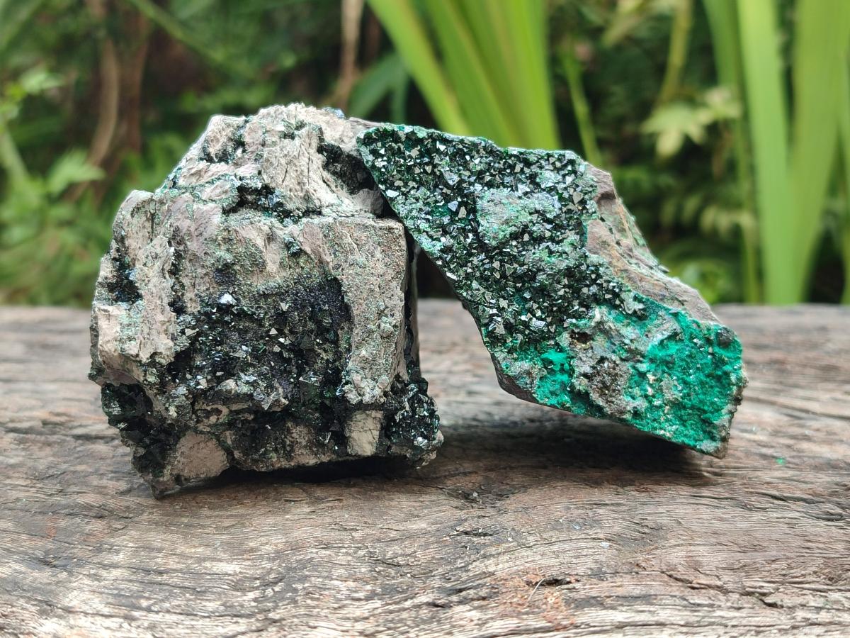 Natural Libethenite Crystals on Dolomite Matrix Specimens x 6 From Shituru, Congo