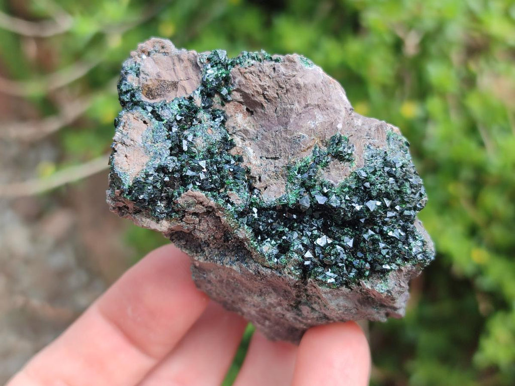 Natural Libethenite Crystals on Dolomite Matrix Specimens x 6 From Shituru, Congo
