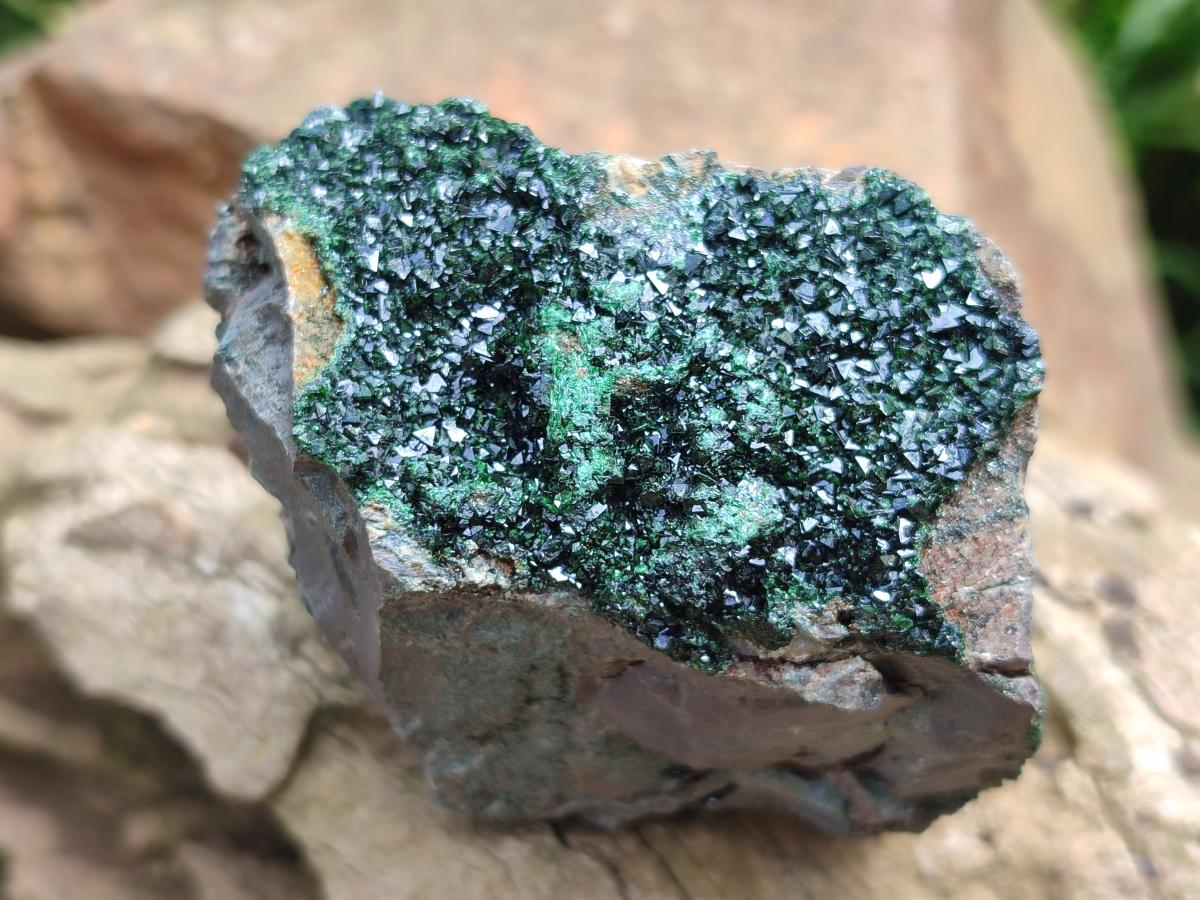 Natural Libethenite Crystals on Dolomite Matrix Specimens x 6 From Shituru, Congo