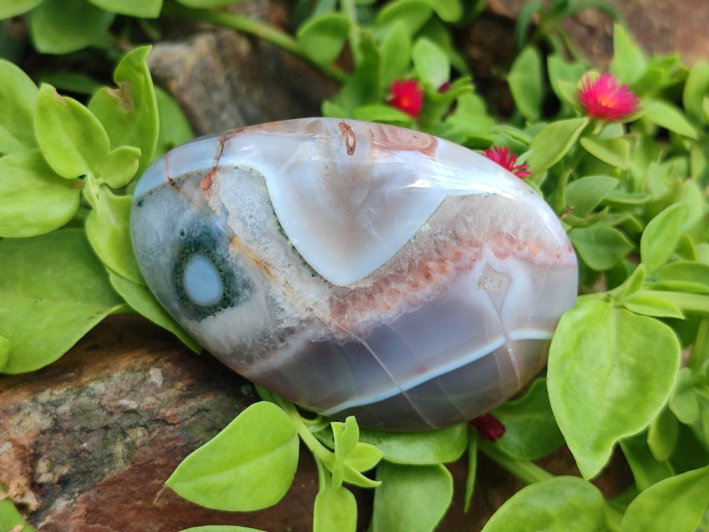 Polished Red Shashe River Agate Free Form Galets x 12 From Shashe River, Zimbabwe