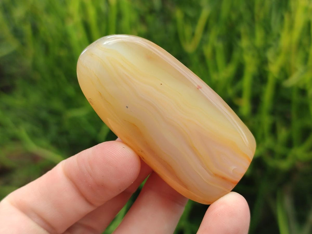 Polished Red Shashe River Agate Free Form Galets x 12 From Shashe River, Zimbabwe