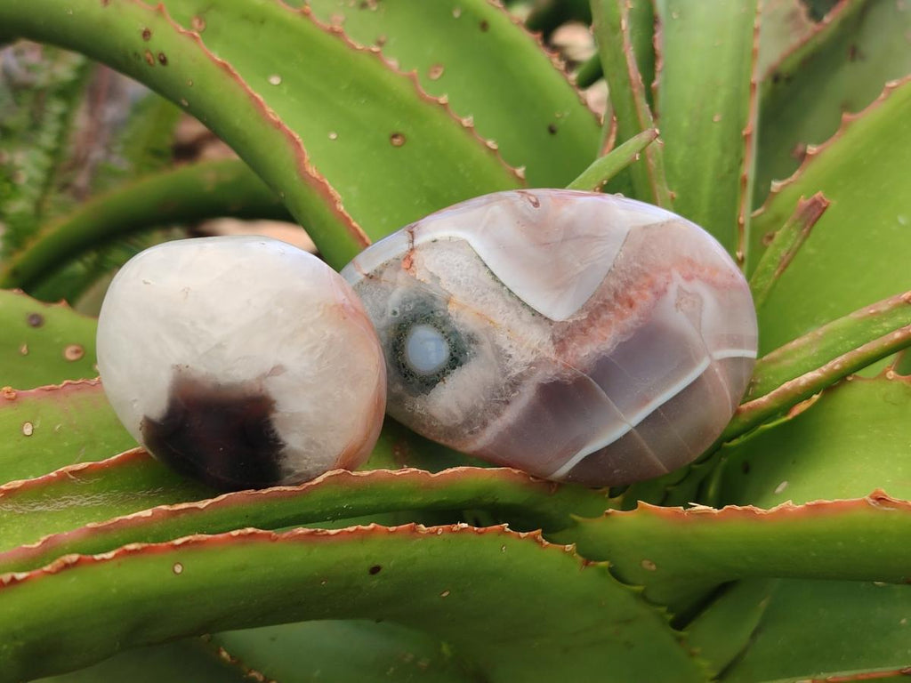 Polished Red Shashe River Agate Free Form Galets x 12 From Shashe River, Zimbabwe