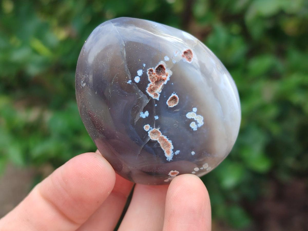 Polished Red Shashe River Agate Free Form Galets x 12 From Shashe River, Zimbabwe