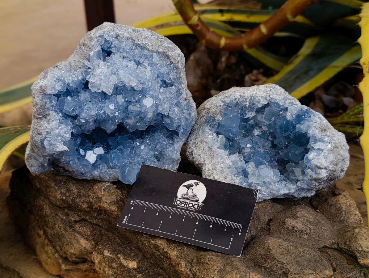 Natural Blue Celestite Geode Specimens x 2 From Sakoany, Madagascar