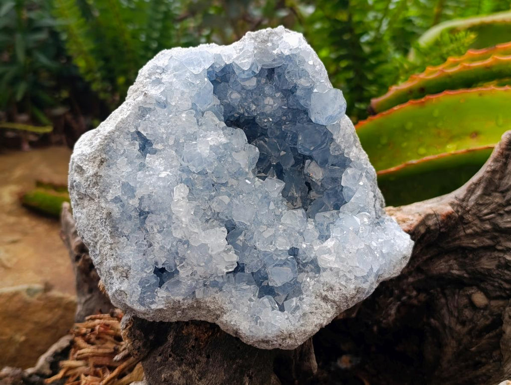 Natural Blue Celestite Geode Specimens x 2 From Sakoany, Madagascar