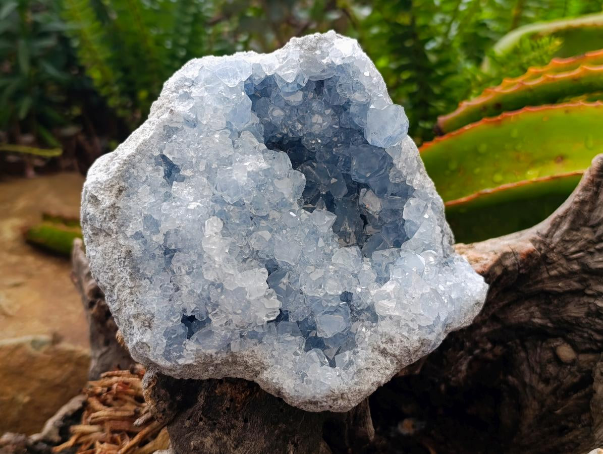 Natural Blue Celestite Geode Specimens x 2 From Sakoany, Madagascar