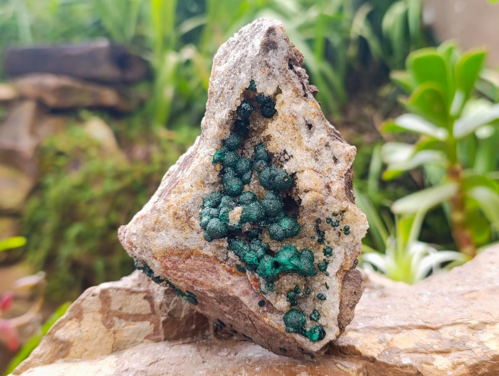 Natural Crystalline Ball Malachite on Quartz and Dolomite Matrix x 2 From Mindingi Mine, Kambove, Congo