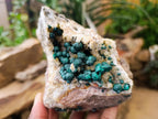 Natural Crystalline Ball Malachite on Quartz and Dolomite Matrix x 2 From Mindingi Mine, Kambove, Congo