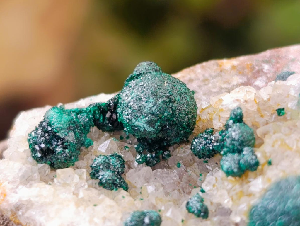 Natural Crystalline Ball Malachite on Quartz and Dolomite Matrix x 2 From Mindingi Mine, Kambove, Congo