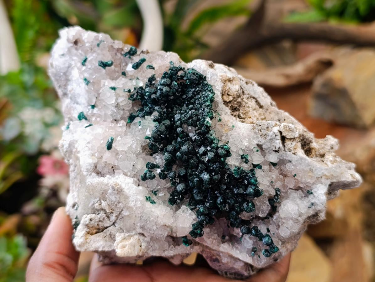 Natural Crystalline Ball Malachite on Quartz and Dolomite Matrix x 2 From Mindingi Mine, Kambove, Congo