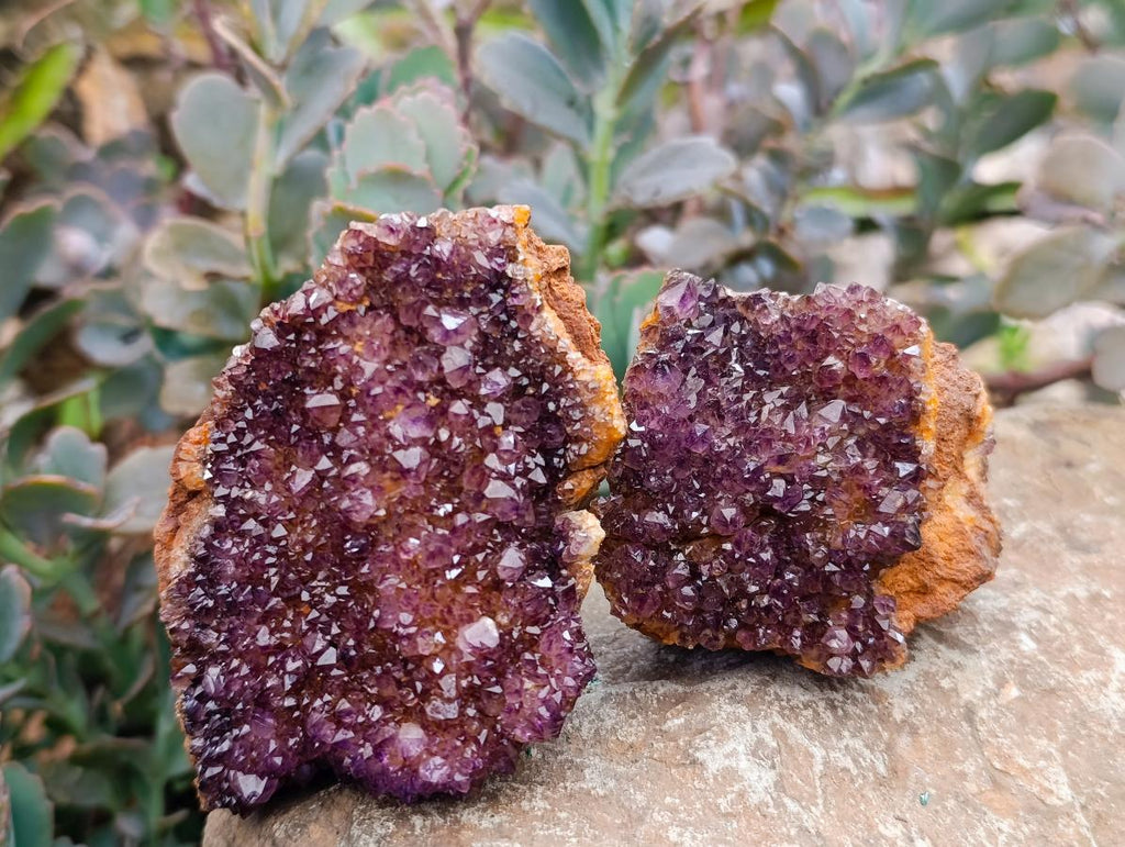 Natural Dark Amethyst Spirit Cluster Plates x 24 From Boekenhouthoek, South Africa