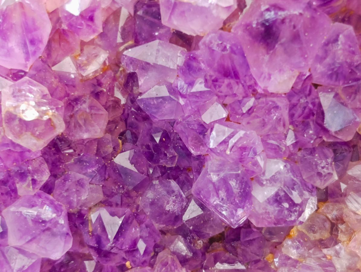 Natural Dark Amethyst Spirit Cluster Plates x 24 From Boekenhouthoek, South Africa