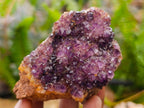 Natural Dark Amethyst Spirit Cluster Plates x 24 From Boekenhouthoek, South Africa