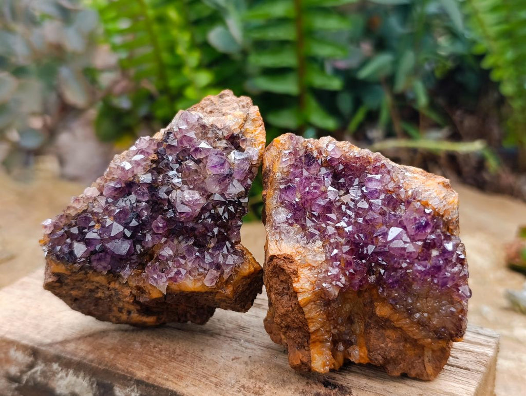 Natural Dark Amethyst Spirit Cluster Plates x 24 From Boekenhouthoek, South Africa